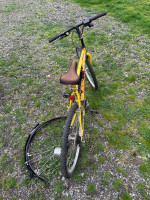 Electric battery bike