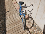 Schwinn Cruiser Kids Bike - 24" Wheel