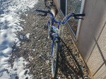 Nishiki Bravo Kids Bike - 24" Wheel