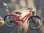 Cruiser Bike- Medium