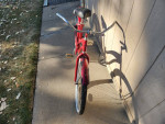 Cruiser Bike- Medium