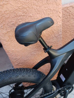 New Carbon fiber fat tire 1000w e bike. Fast electric bike