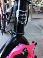 20" Girls, Trouble Bmx Bike "NEW"