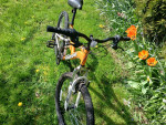 Mongoose XR-75