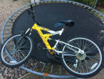 Mountain bike