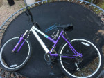 Girls Mountain Bike