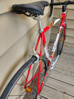 LeMond Maillot Jeune road bike