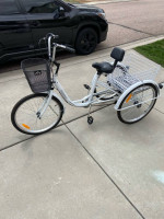 Ridgeyard Tricycle