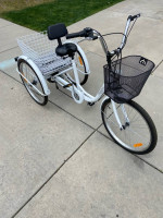 Ridgeyard Tricycle