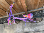 16 inch Girls Bike (Trolls Theme)