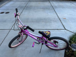 20" Kid Bike