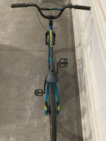 2023 Chase Element pro cruiser