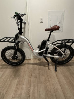 Radmini ST with extra battery - Folding Electric Bike/Ebike