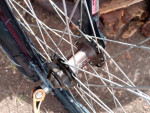 29 IN REDLINE D440 8-SPEED HEAVY DUTY ALL SEASON TRAIL BIKE, FAT TIRES