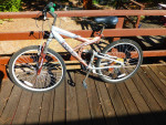 Adult bicycle bike
