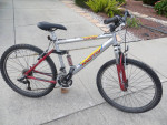 Motive Vortex mountain bike
