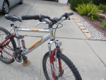 Motive Vortex mountain bike