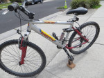 Motive Vortex mountain bike