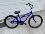 Blue Beach Cruiser -Firmstrong URBAN