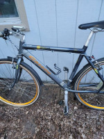 Tromm Playa Gazelle bicycle Dutch city bike