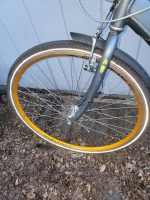 Tromm Playa Gazelle bicycle Dutch city bike