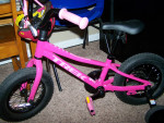 Toddler Girls' Trek Precaliber 12"