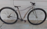 Custom 36er by Coker Raw polished 7spd shimano nexus
