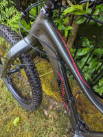 2020 Borealis Telluride - GX eagle - 29' - Medium