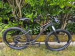 2020 Borealis Telluride - GX eagle - 29' - Medium