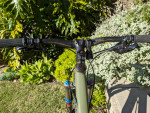 Giant Reign 1 Mountain Bike