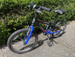 20" boys bicycle