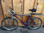 Mtn Tek Comp St Mountain Bike