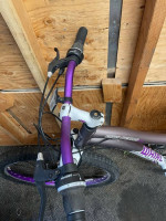 Genesis Whirlwind Mountain Bike