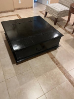Storage Coffee Table