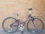 Women's Trek (Purple) Step Through Comfortable & Upright Hybrid
