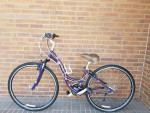 Women's Trek (Purple) Step Through Comfortable & Upright Hybrid