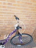 Women's Trek (Purple) Step Through Comfortable & Upright Hybrid