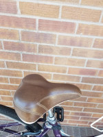 Women's Trek (Purple) Step Through Comfortable & Upright Hybrid