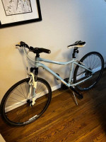 Trek Neko Hybrid WSD 18 frame