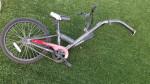 bike trailer trainer