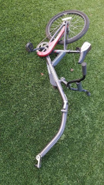 bike trailer trainer