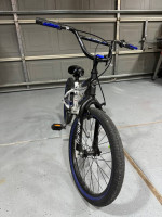 20” Kid Bile