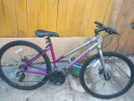 Schwinn connection women hybrid bike