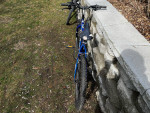 24” Dynacraft