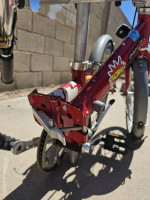 Eco Foldable Bike