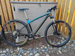 Diamondback Overdrive Carbon Expert 29 hardtail mountain bike