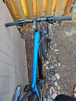 Diamondback Overdrive Carbon Expert 29 hardtail mountain bike