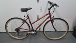 Specialized Crossroads