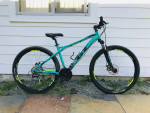 GT Laguna Mountain Bike
