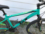 GT Laguna Mountain Bike